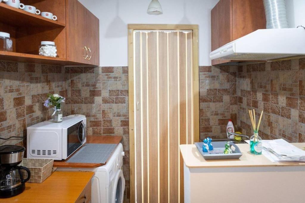 Friendly Little Studio Braşov Extérieur photo