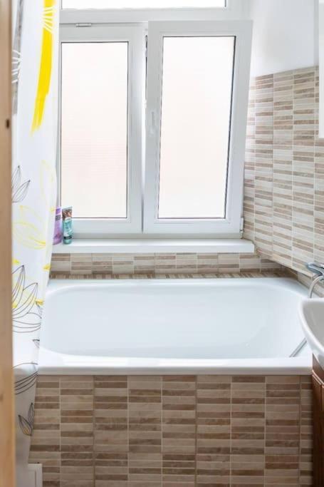 Friendly Little Studio Braşov Extérieur photo