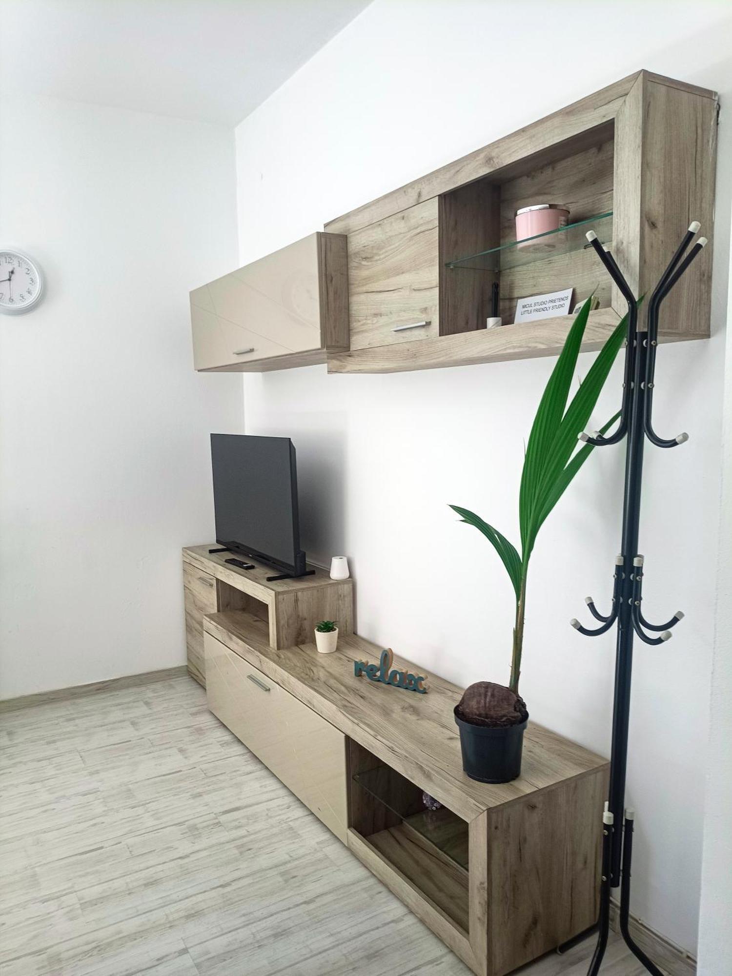 Friendly Little Studio Braşov Extérieur photo