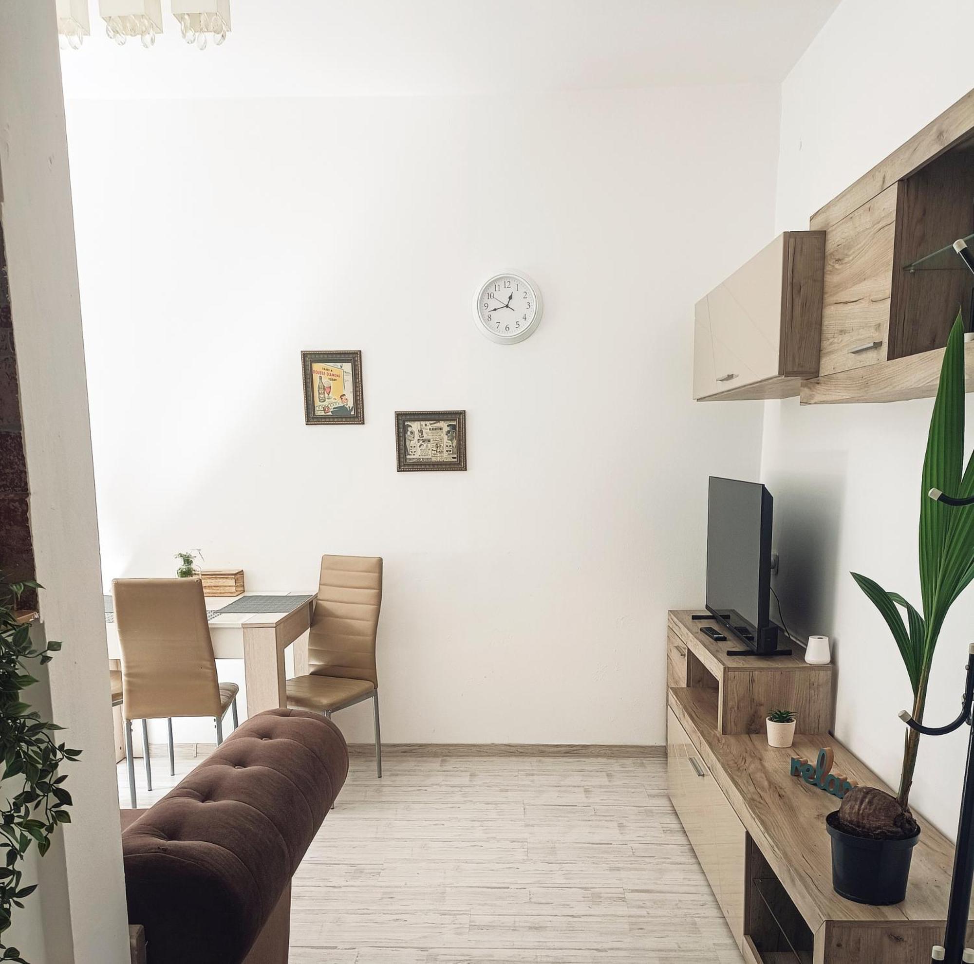 Friendly Little Studio Braşov Extérieur photo